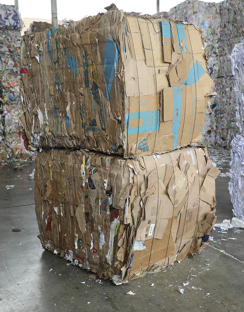 Recoleccion de reciclaje de carton